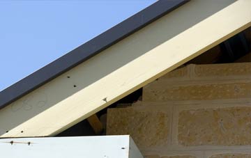 Muir Of Tarradale fascia repairs