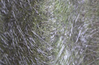 Muir Of Tarradale fibreglass roof work